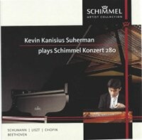 Schimmel K280